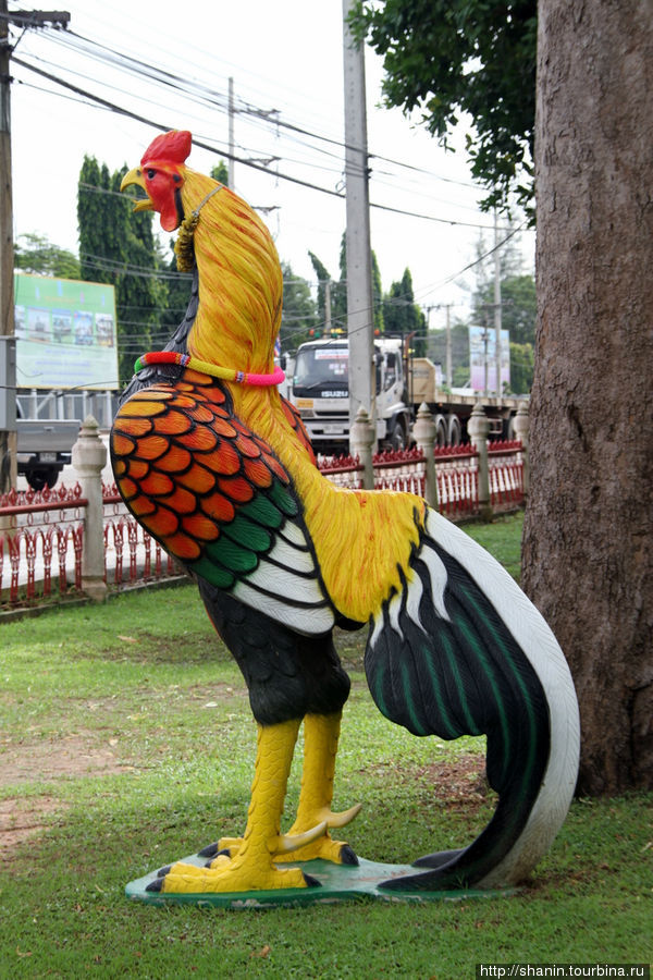 Петушиное царство Накхон-Найок, Таиланд
