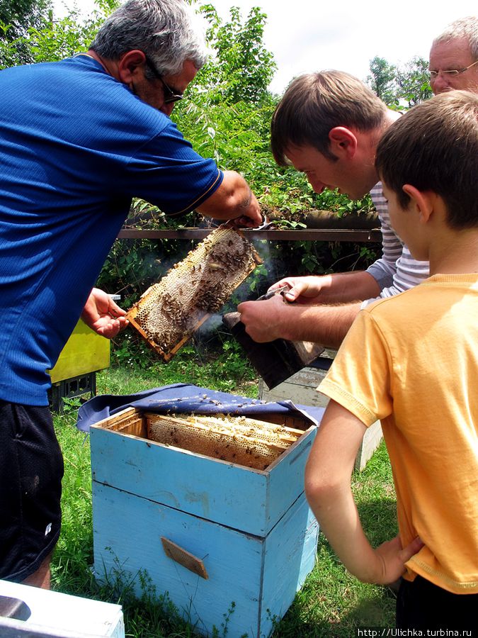 Немножко о пчеловодстве в Грузии Грузия