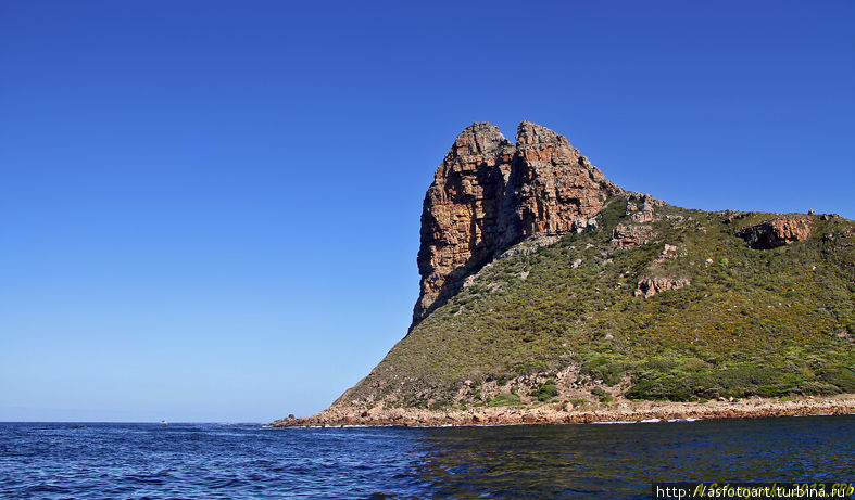 Капский полуостров во всём многообразии Кейптаун, ЮАР