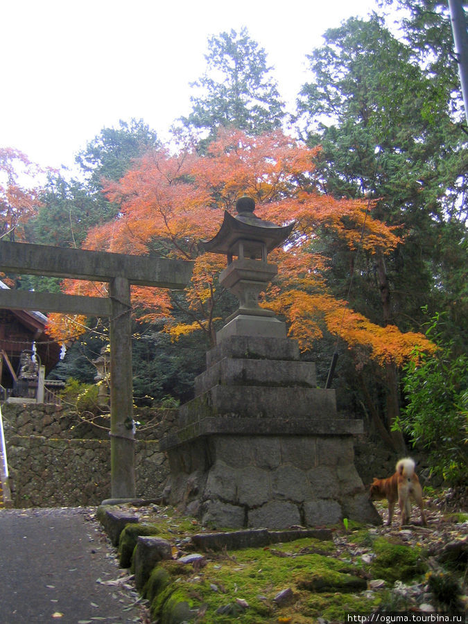 В одном из сельских синтоистких храмов Япония