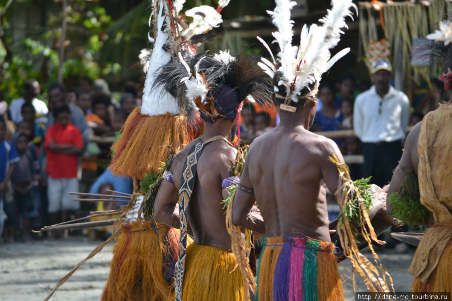 В качестве украшений папуасы используют подручные материалы: кору, перья птиц, ветки, траву, цветы Провинция Галф, Папуа-Новая Гвинея