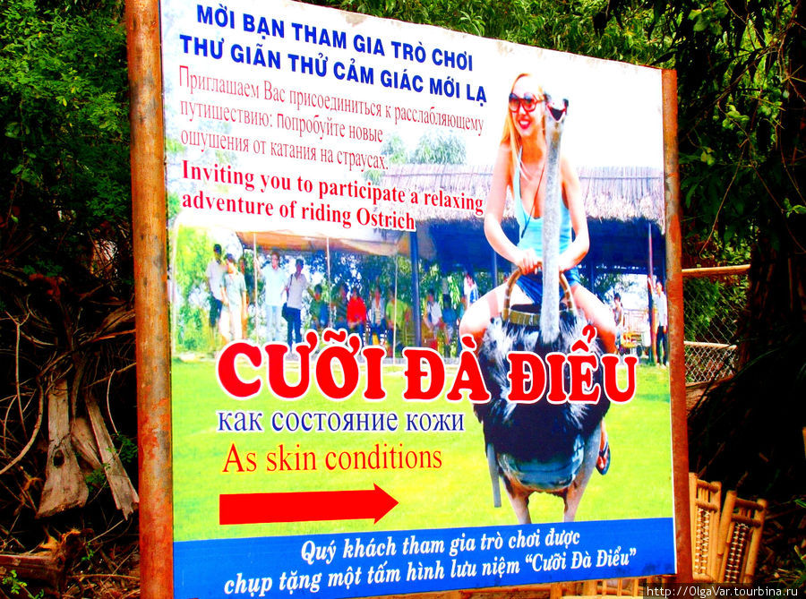 Катание на страусах еще и на состояние кожи как-то влияет, судя по всему Муй-Не, Вьетнам