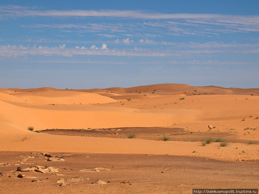 Окрестности Шингетти Мавритания