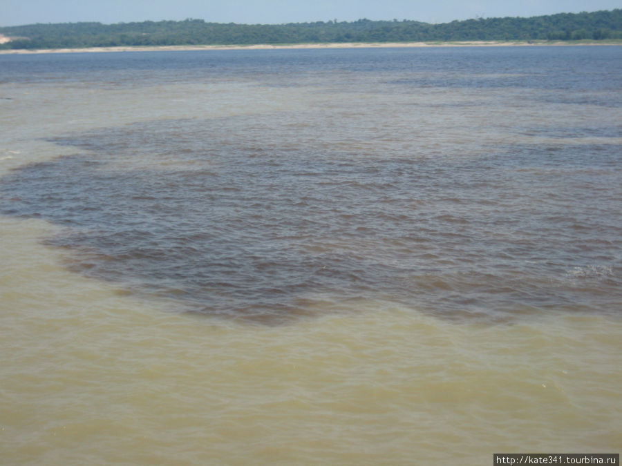 Манаус и окончание 6 дневного Амазонского трипа Манаус, Бразилия