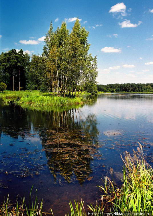 Белорусский пейзаж Минск, Беларусь