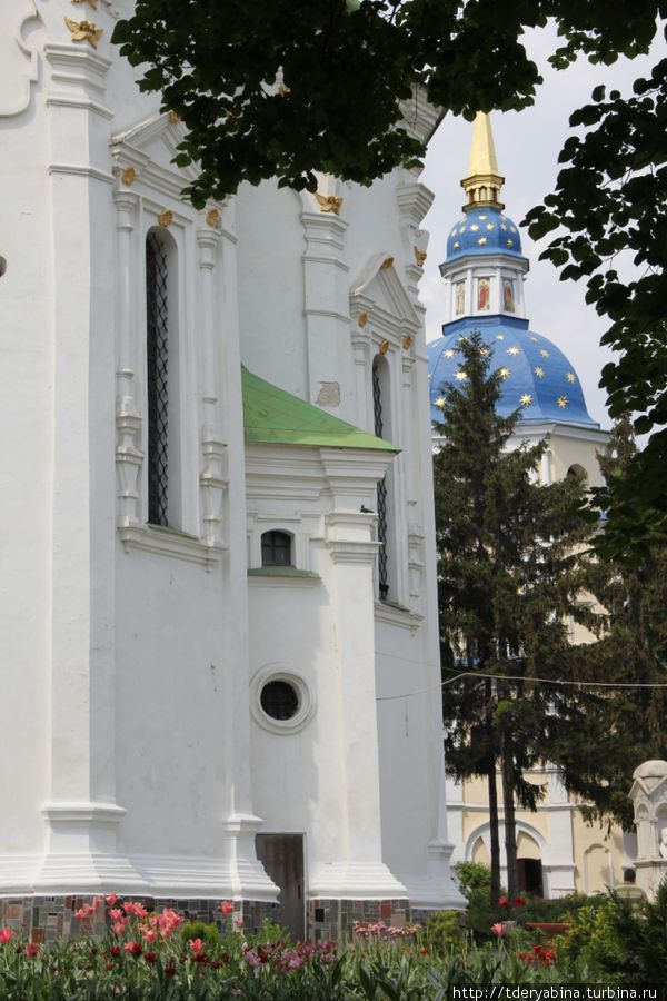 Благоухающий, цветущий Киев Киевская область, Украина