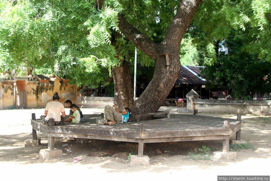 Лежанка под священным деревом Монива, Мьянма
