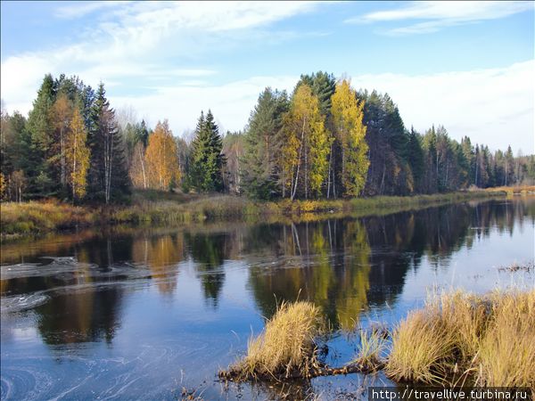 Экспедиция на квадроциклах 