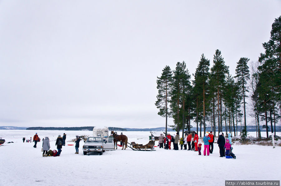 Народ спешит кататься на повозке, запряженной лошадьми. Без очереди — никуда! Нурмес, Финляндия