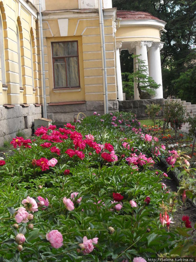 Вся палитра Ботанического сада Санкт-Петербург, Россия