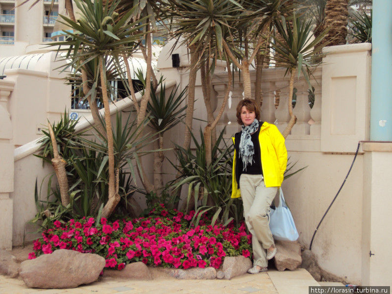 * Около нашего отеля Леонардо на Мертвом море. Иерусалим, Израиль