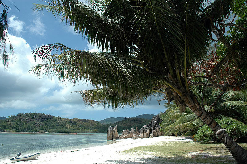 Образцовый пляж острова Курьез. Сейшельские острова