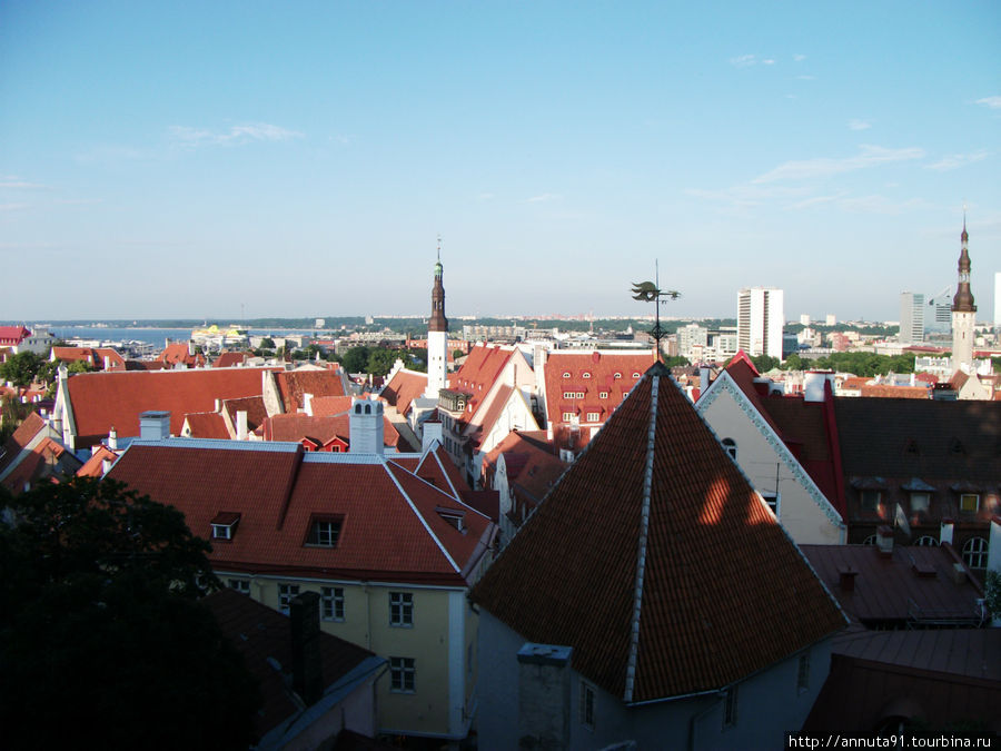 Вид на Старый город Таллин, Эстония