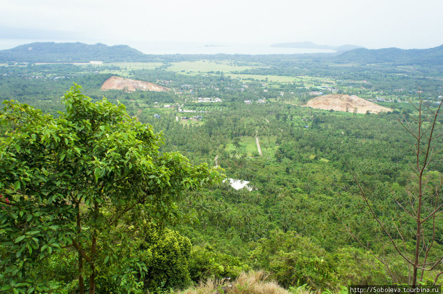 Тайланд. остров Koh samui Остров Самуи, Таиланд