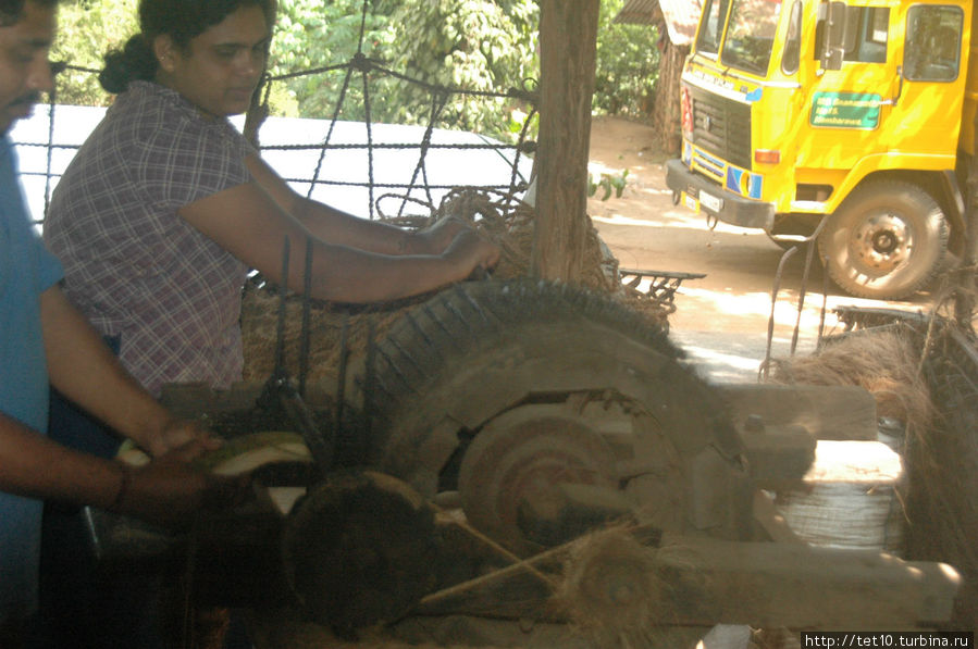 на этом аппарате обрабатывают волокнистую часть  ореха Шри-Ланка