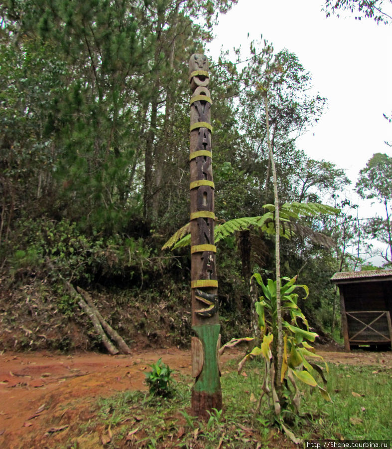 Вход в частный парк, дальше джунгли Андасибе, Мадагаскар
