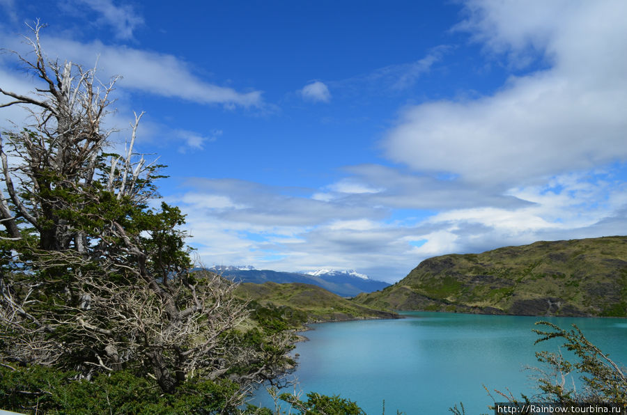 Выглянуло солнце и цвет воды заиграл прямо перед глазами Национальный парк Торрес-дель-Пайне, Чили