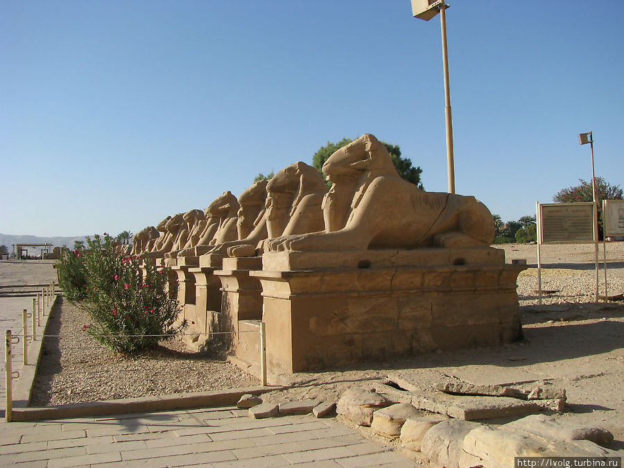 Дорогой жрецов Макади-Бей, Египет