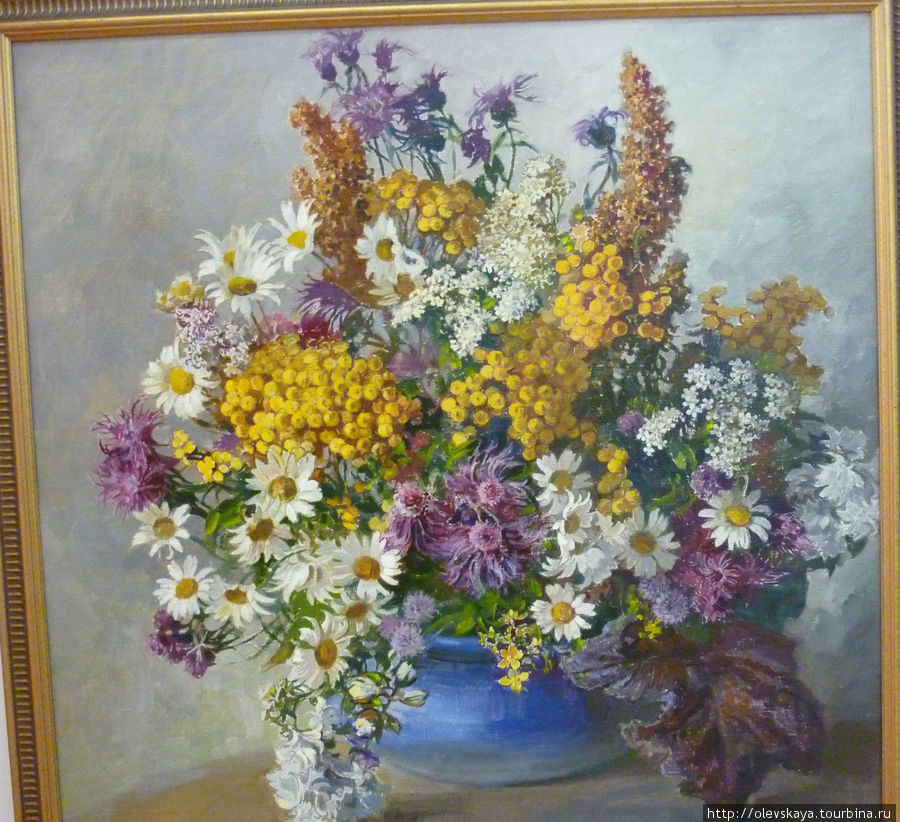 Вологодские полевые цветы от О.Бороздина