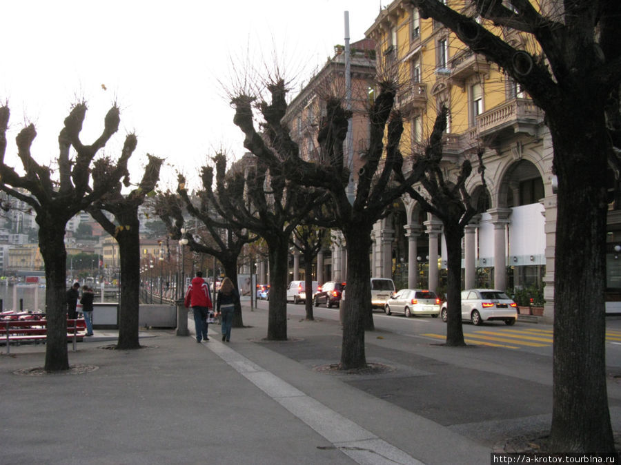 не деревья, а кочерыжки какие-то Лугано, Швейцария
