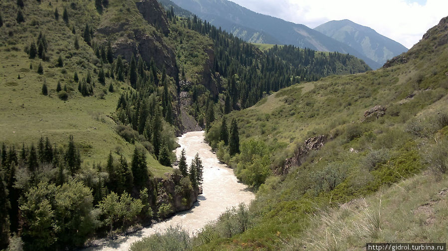 Природа реки Чилик Алматинская область, Казахстан
