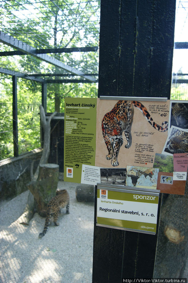 Зоопарк города Либерец Либерец, Чехия