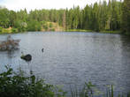 Коневские озера — два живописных озера, на берегах которых издавна жили монахи в скитах