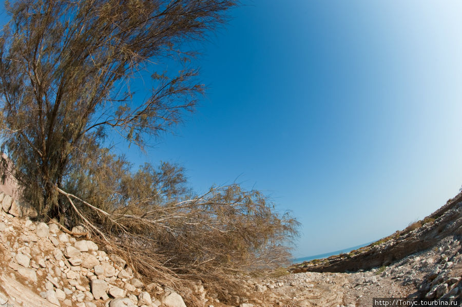 Фото Тур по соленой дороге Мертвое море, Израиль