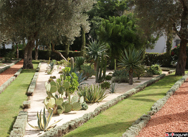 В этой части садов нам в основном попадались кактусы... Хайфа, Израиль