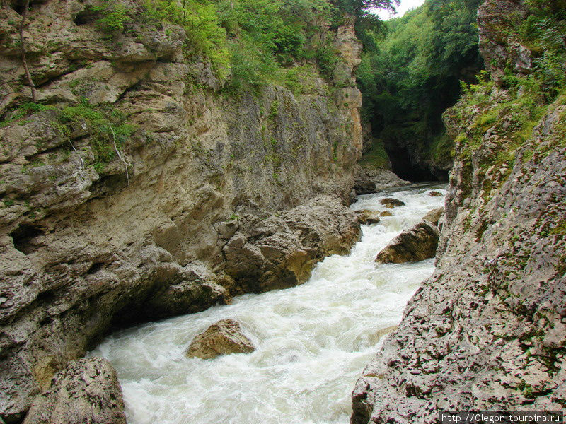 Река Белая и теснины Хаджоха Каменномостский, Россия