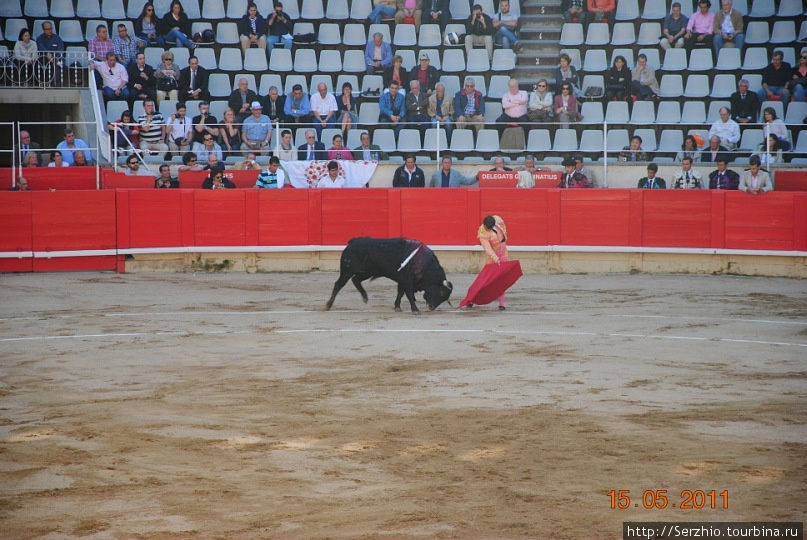Безжалостная КОРРИДА или Бык против Человека! Барселона, Испания