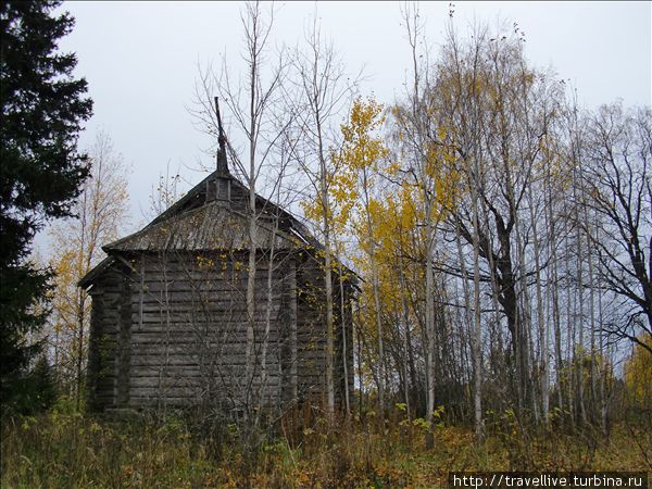 Экспедиция на квадроциклах 