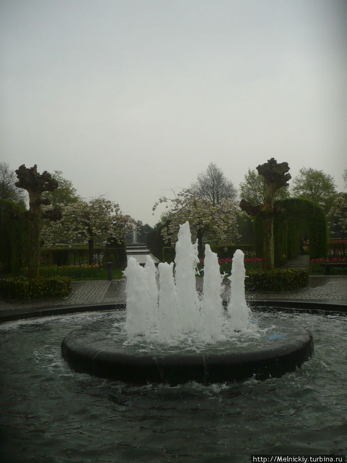 Прогулка в дождливое утро по Саду Европы