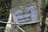 Осторожно крокодилы!