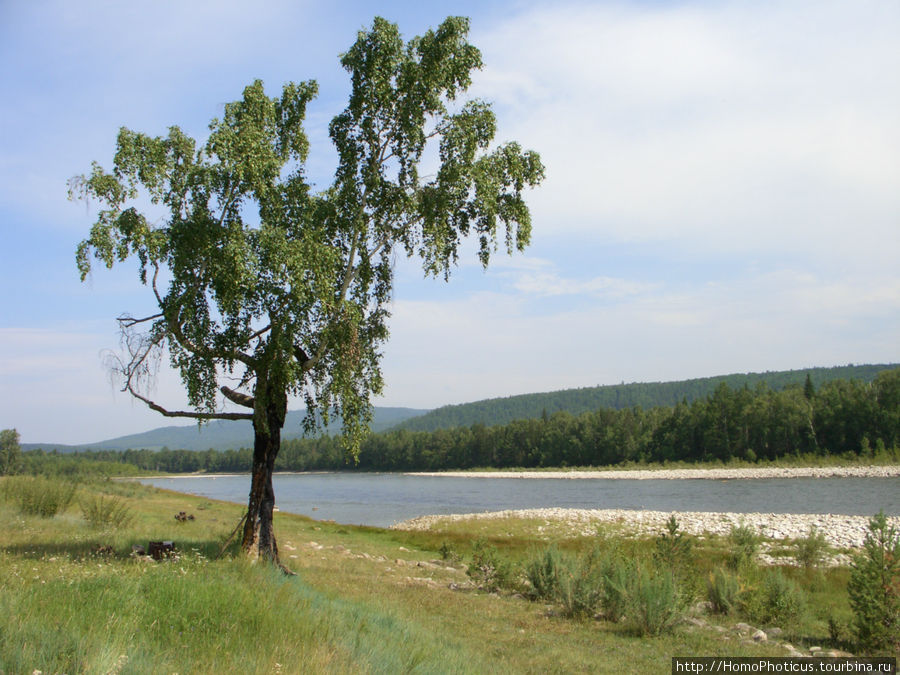 Река Зун-Марино Бурятия, Россия