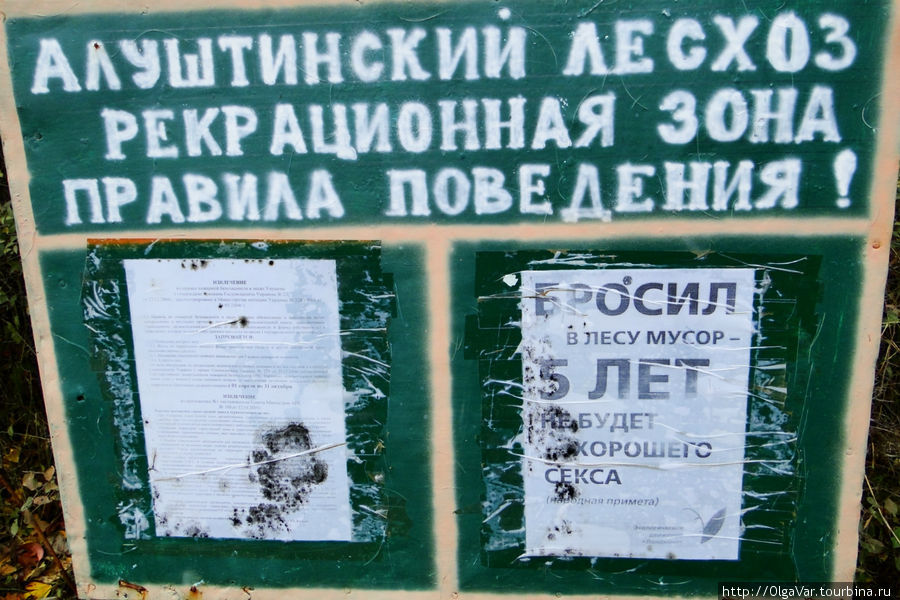 Интересно, на кого-то подействовало...