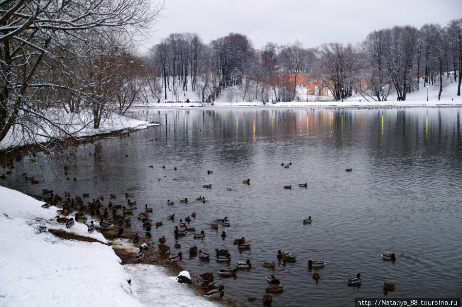 Зимний парк Царицыно Москва, Россия