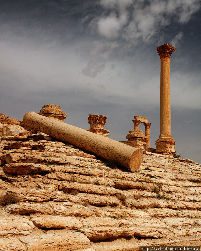 Пальмира Тадмур (Пальмира), Сирия