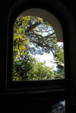 Вид из окна дегустационного зала