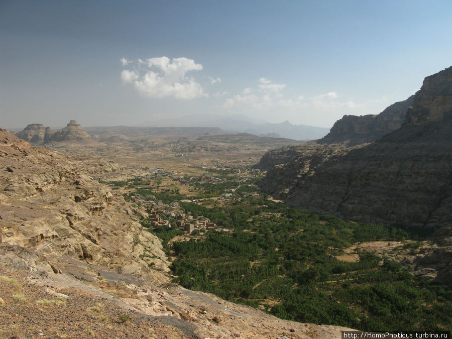 Плантация ката Провинция Амран, Йемен