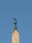 На высоте египетского обелиска птица с чем-то в клюве