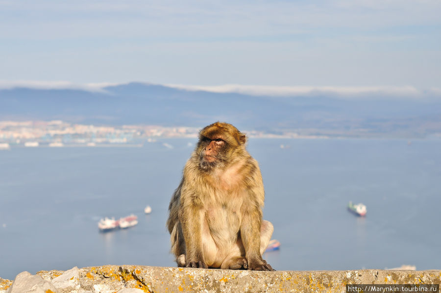 Гибралтар  — заморская территория Великобритании Гибралтар