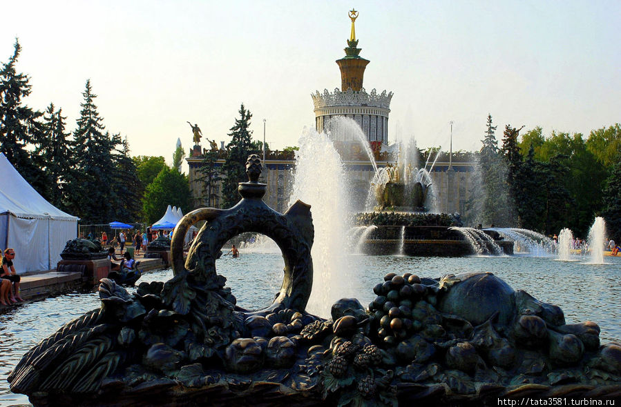 Фонтан «Каменный цветок» создан к 1954 году по проекту К. Т. Топуридзе. Находится на площади колхозов ВСХВ (ВДНХ СССР-ВВЦ). Использовался, как пожарный водоем, при пожаре, в одном ближайшем павильоне. Москва, Россия