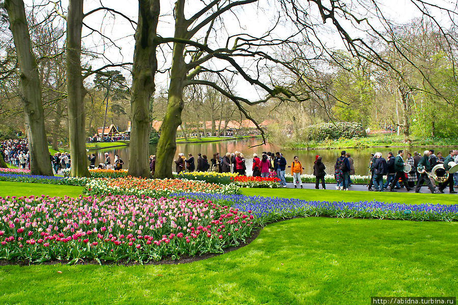 Кекенхоф, или Парк тюльпанов. Часть 2 Кёкенхоф, Нидерланды