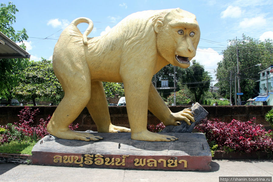 Обезьяна — символ Лопбури Лоп-Бури, Таиланд