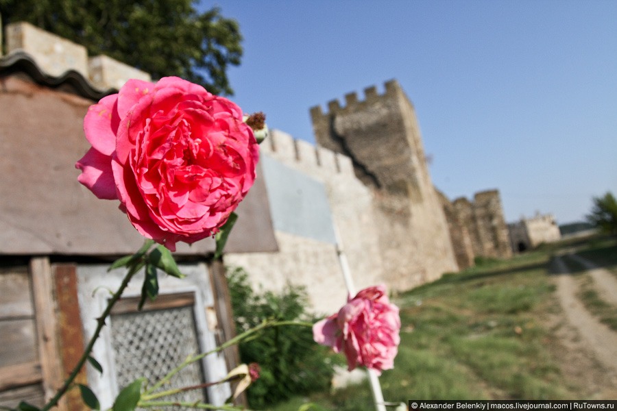 Заброшенная крепость древних сербов Смедерево, Сербия
