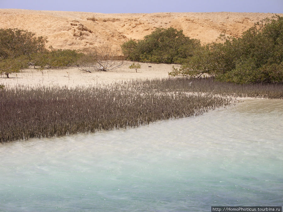 Самое-самое в Синае: Рас-Мухаммед Рас-Мухаммед морской заповедник, Египет