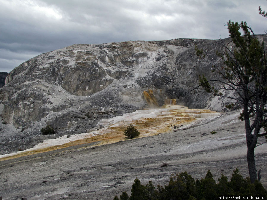 Террасы Мамонтовых горячих источников (Mammoth Hot Spring) Йеллоустоун Национальный Парк, CША