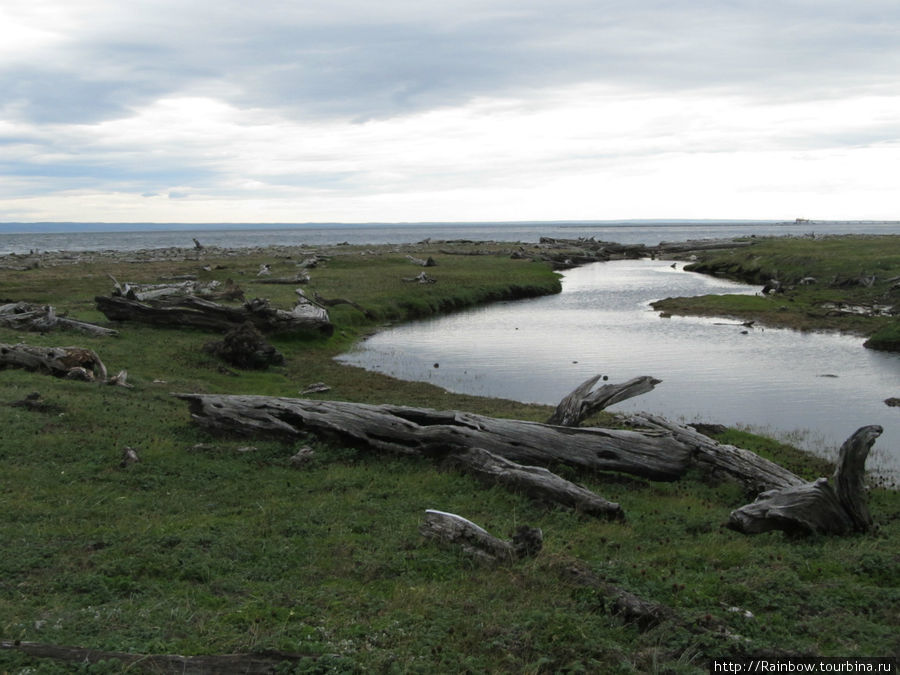 А это  вид на лагуну Отвей, где пингвины кормятся сами и кормят свои семьи Лагуна-Отвей, Чили