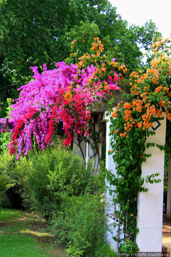 Разноцветная Севилья Севилья, Испания